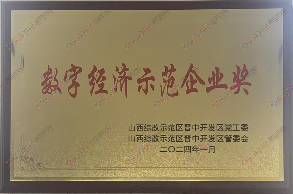 數(shù)字經(jīng)濟示范企業(yè)獎